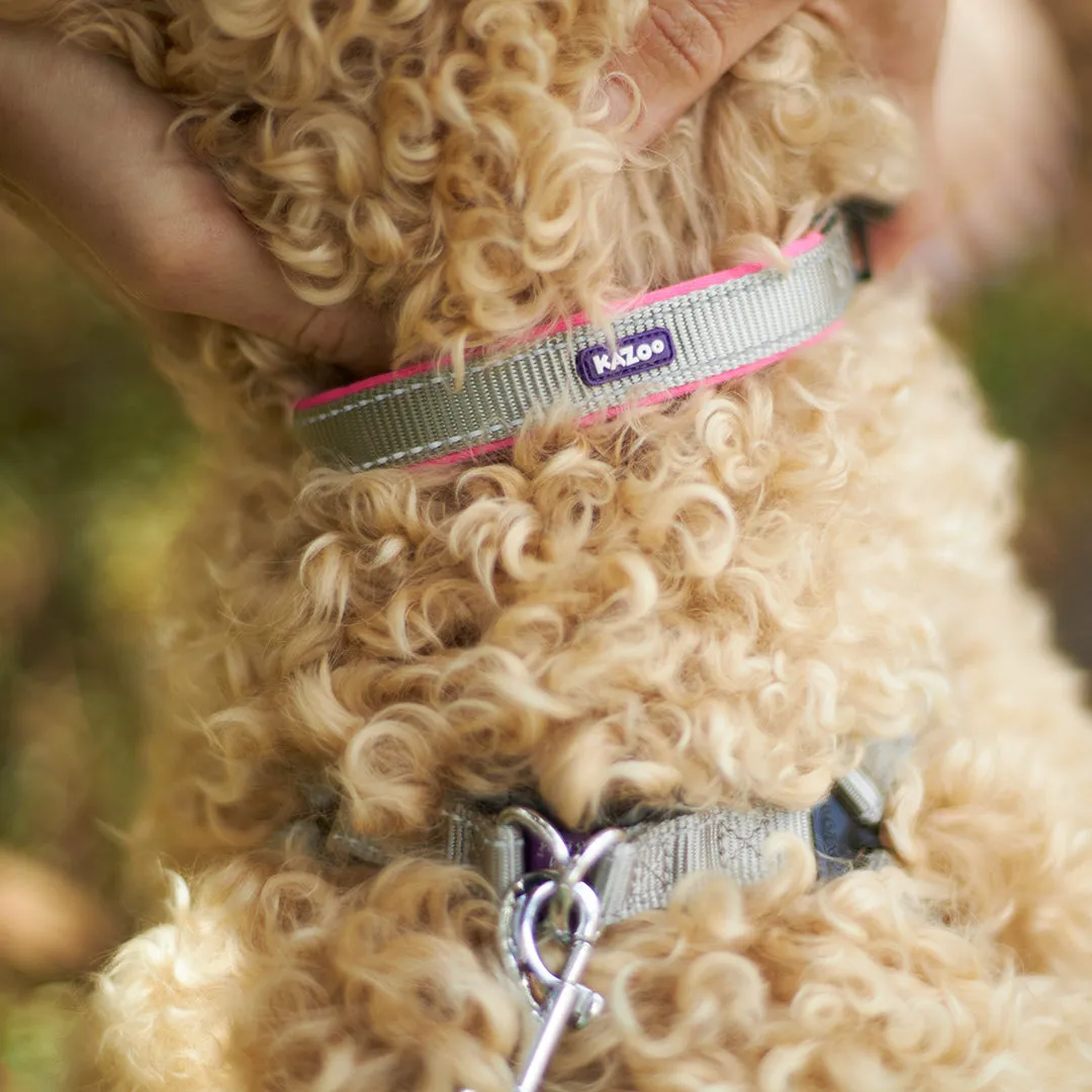 Active Dog Collar - Silver & Pink