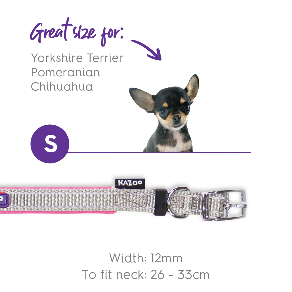 Active Dog Collar - Silver & Pink