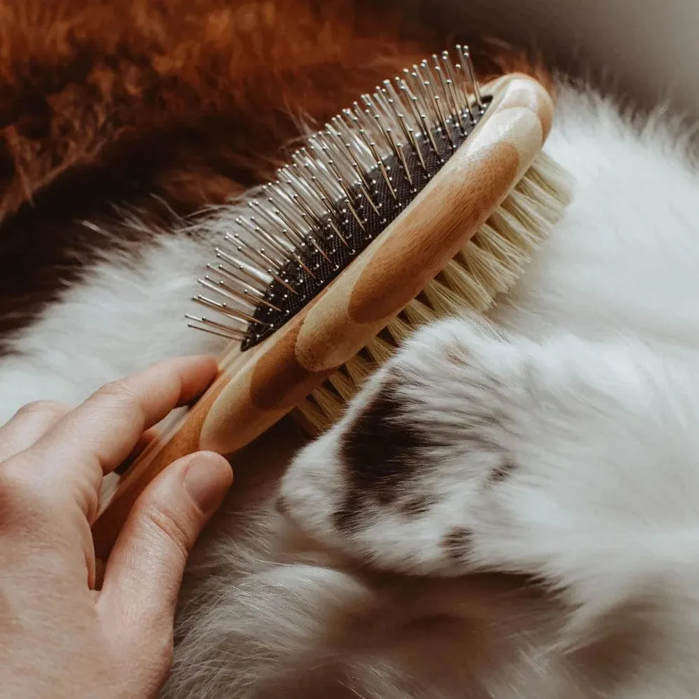 Bamboo Dog Brush