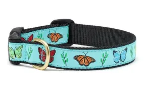 Butterfly Effect Dog Collar