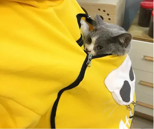 Cat  Sweatshirt