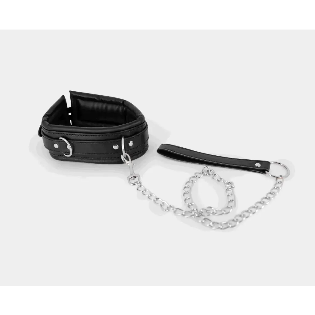 Collar & Leash