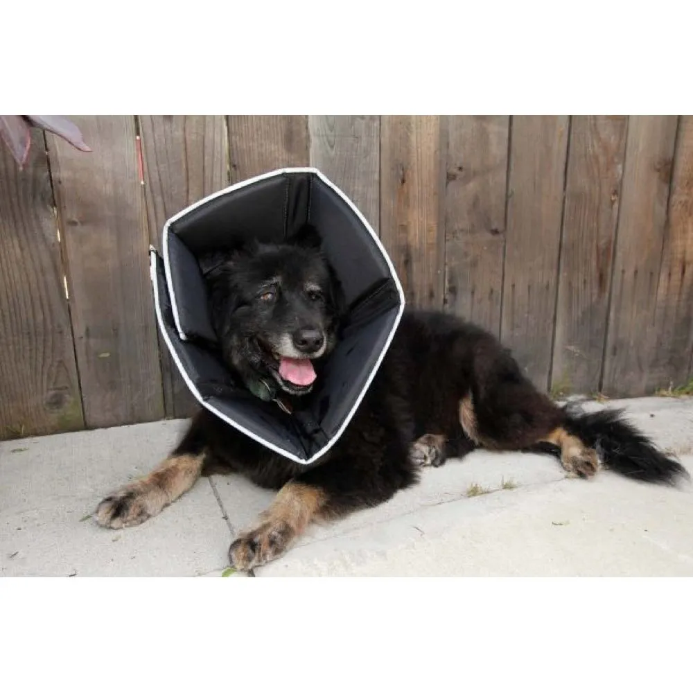 Comfy Cone Cat & Dog E-Collar