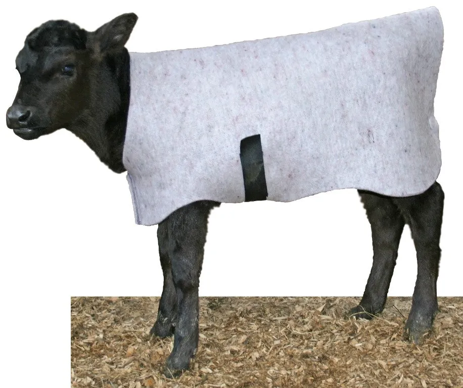 Cosy Coat Calf Cover