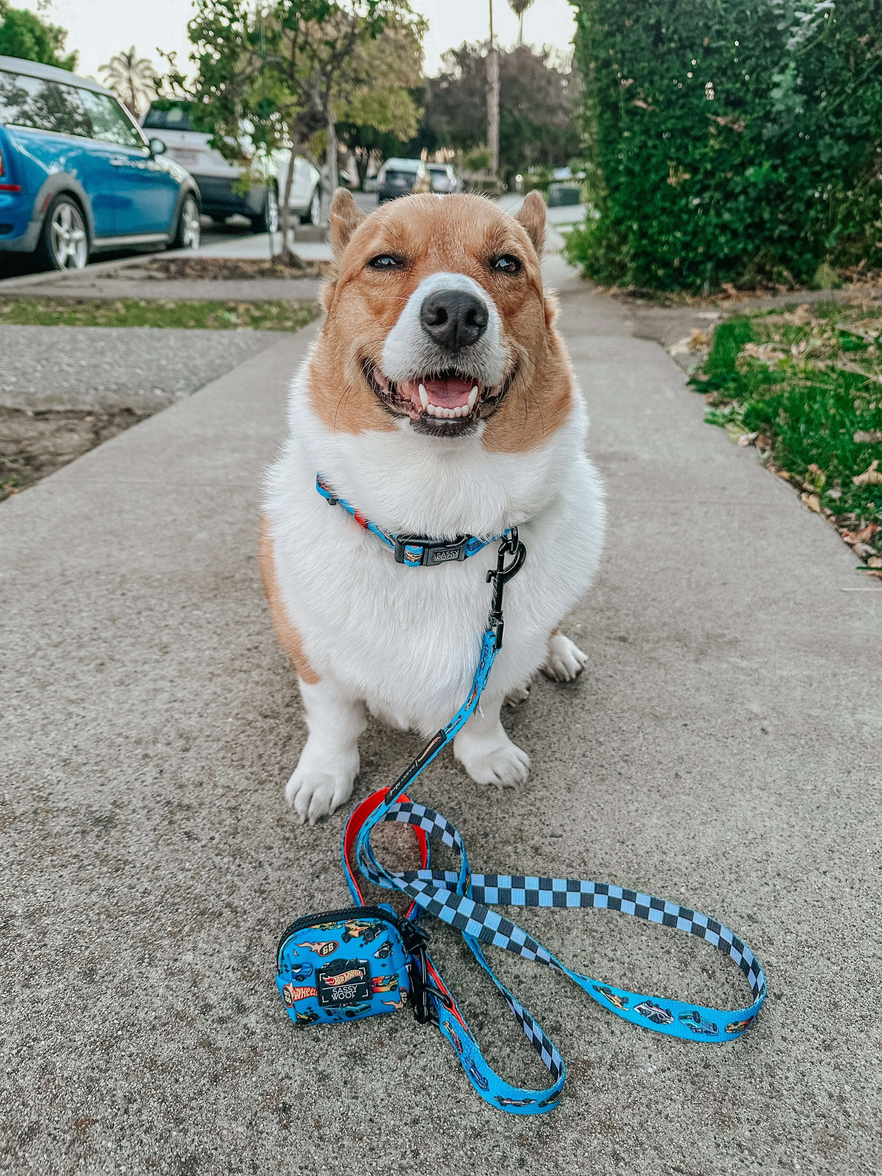 Dog Leash - Hot Wheels™