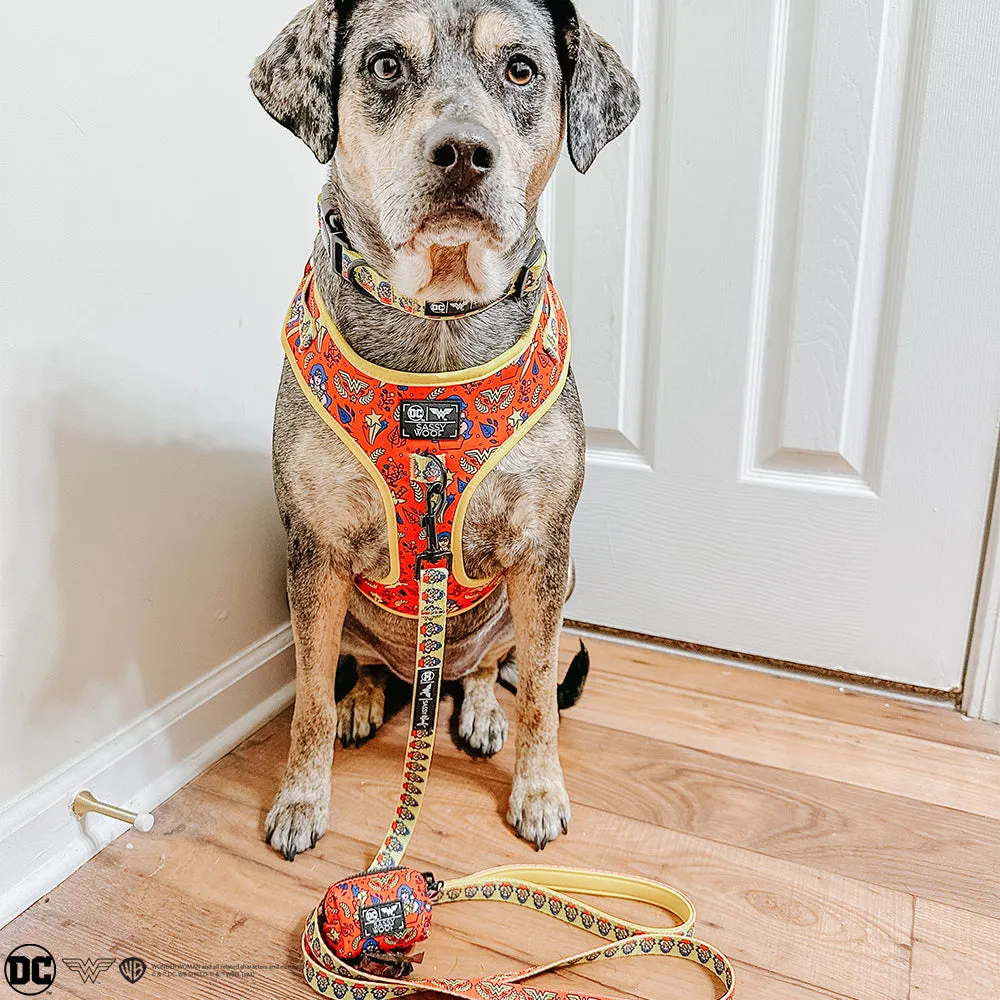 Dog Leash - Wonder Woman™