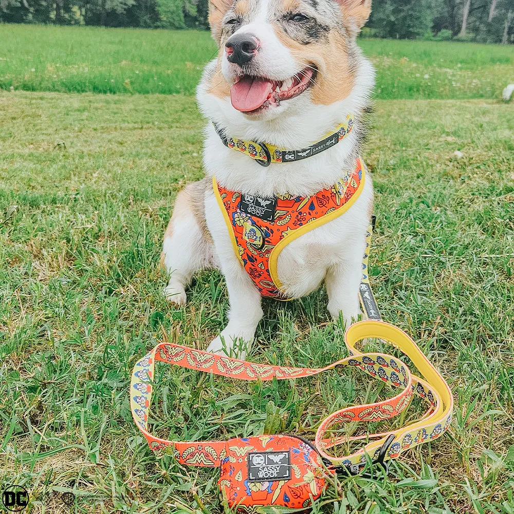 Dog Leash - Wonder Woman™