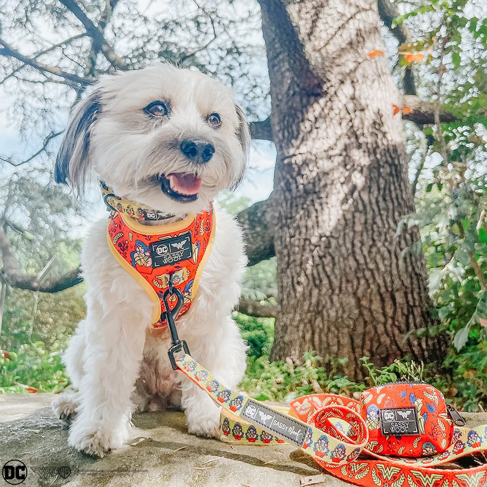 Dog Leash - Wonder Woman™