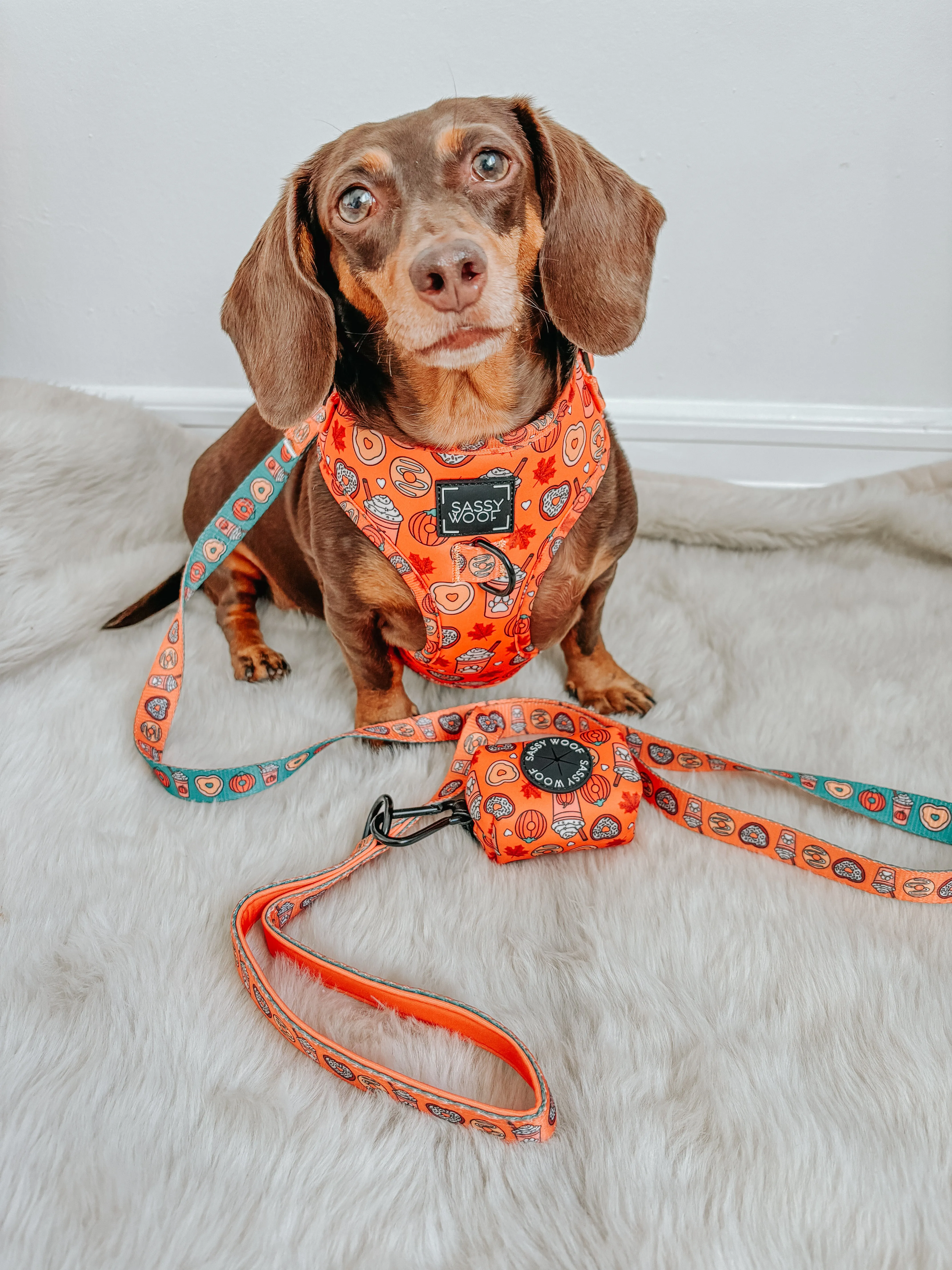 Dog Waste Bag Holder - Pupkin Donuts