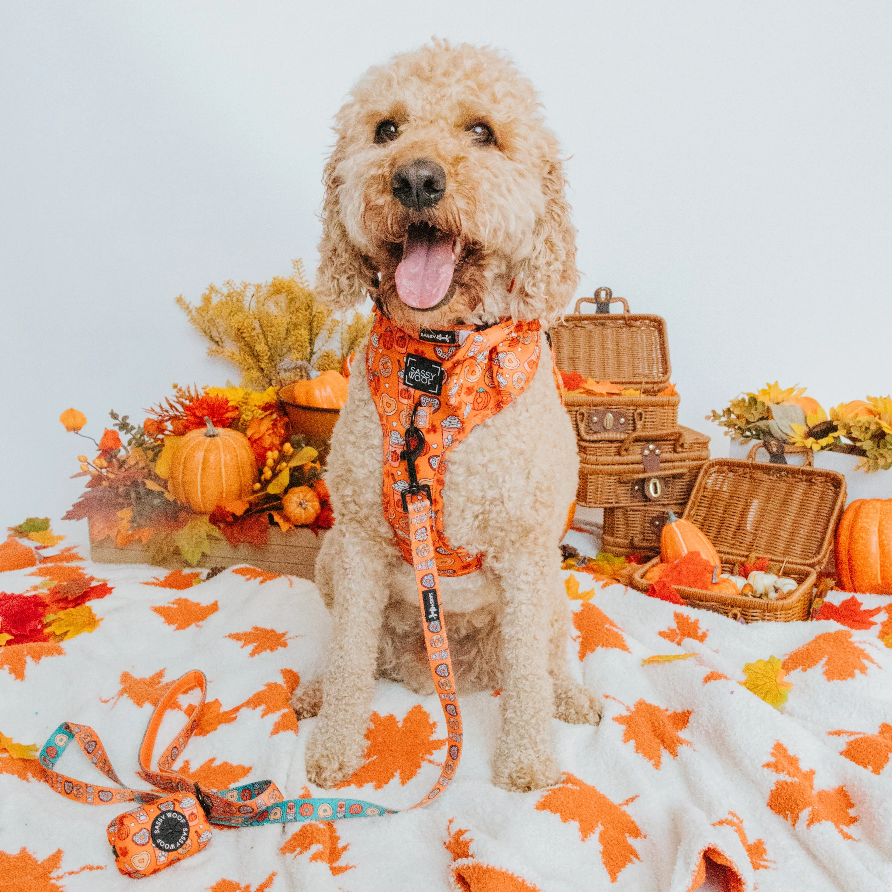 Dog Waste Bag Holder - Pupkin Donuts