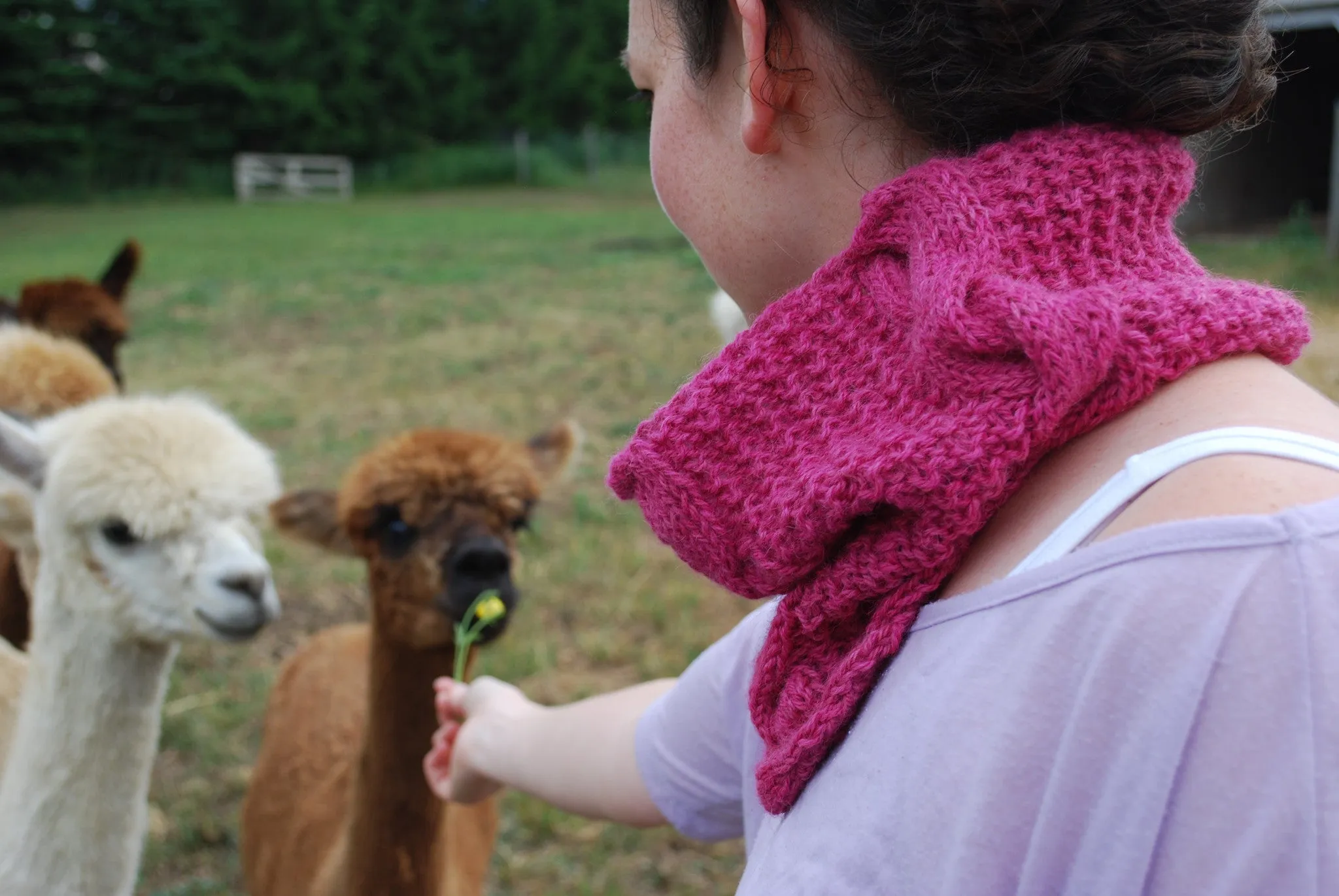 Gambolling Cables Cowl Knitting Pattern (PDF) by Phibersmith Designs