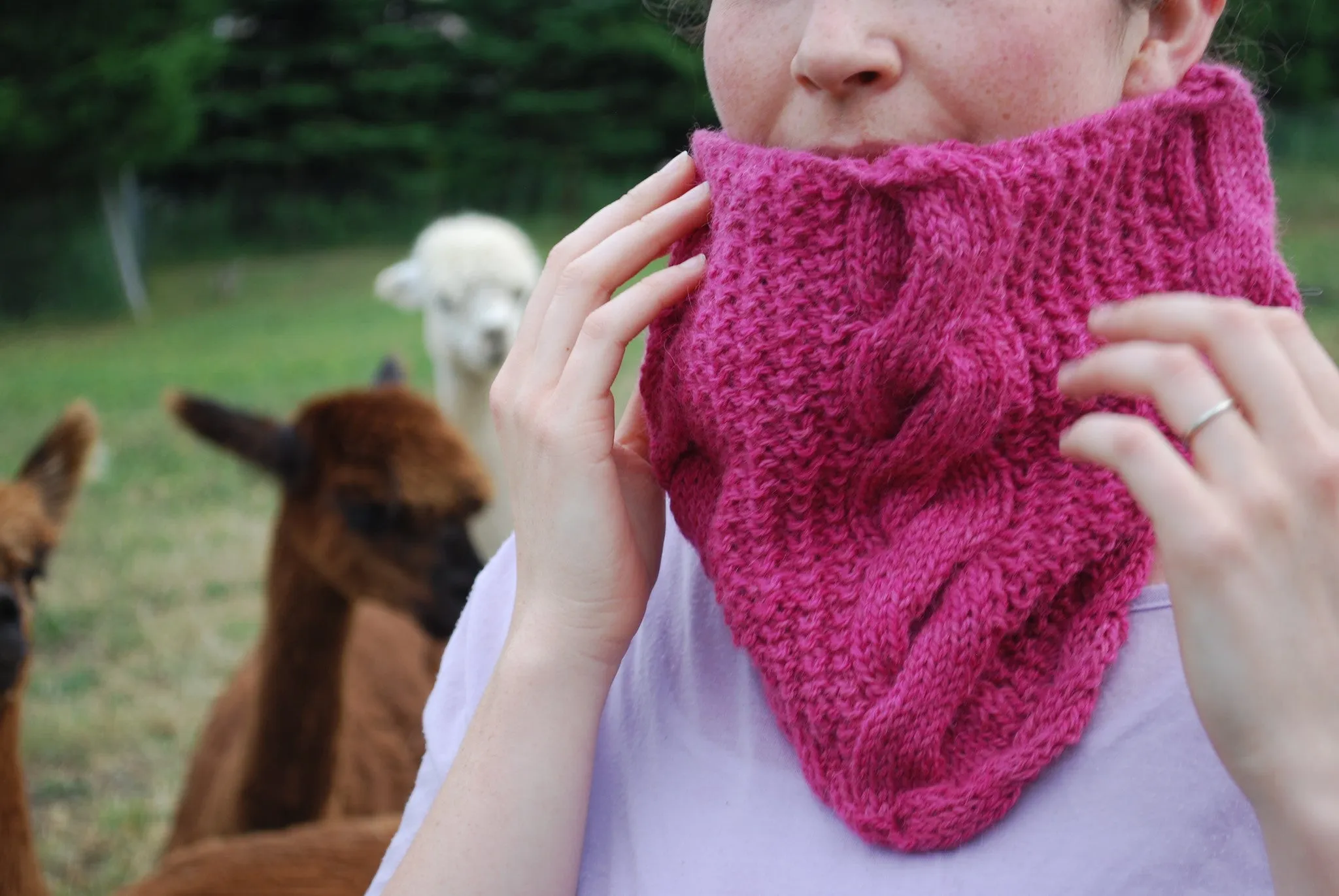 Gambolling Cables Cowl Knitting Pattern (PDF) by Phibersmith Designs