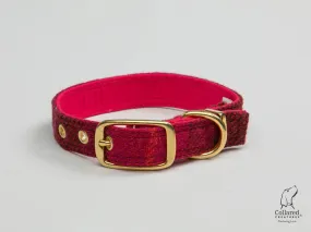 Harris Tweed Deep Fuschia Buckle Dog Collar