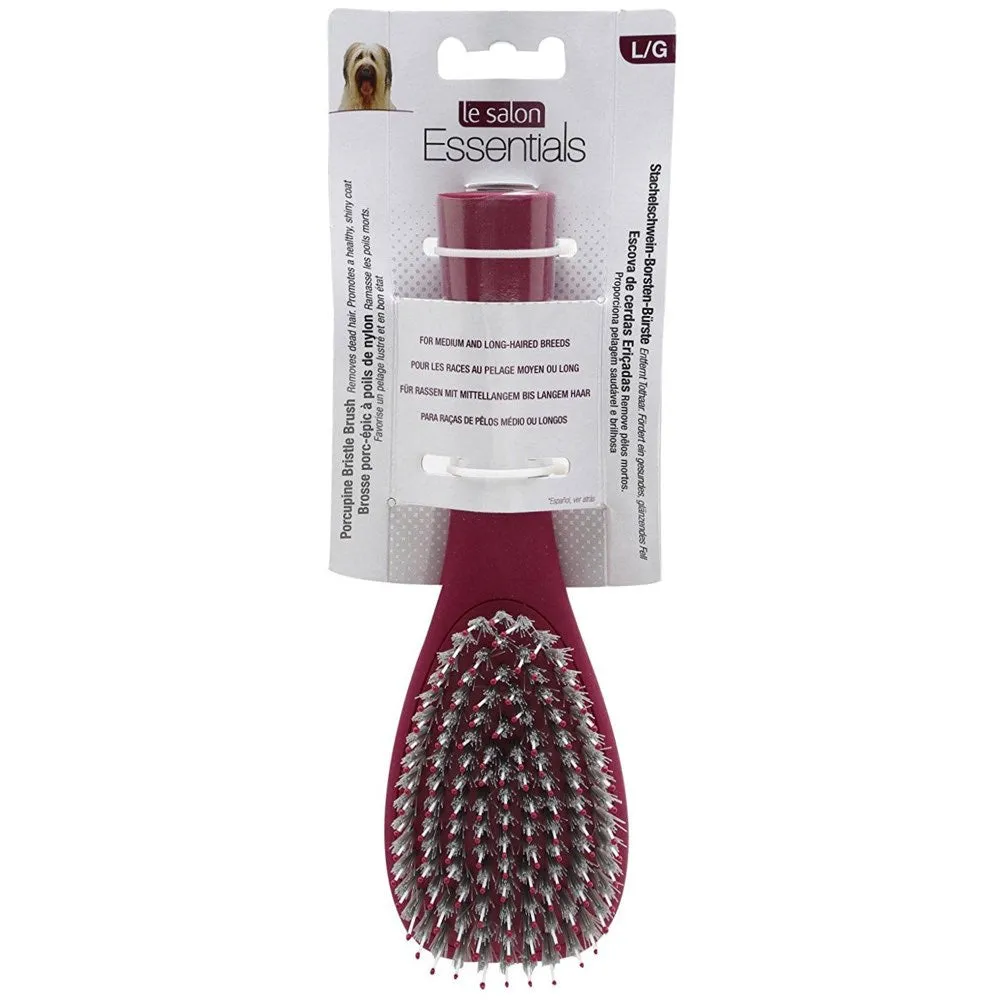 Le Salon Essentials Dog Porcupine Bristle Brush