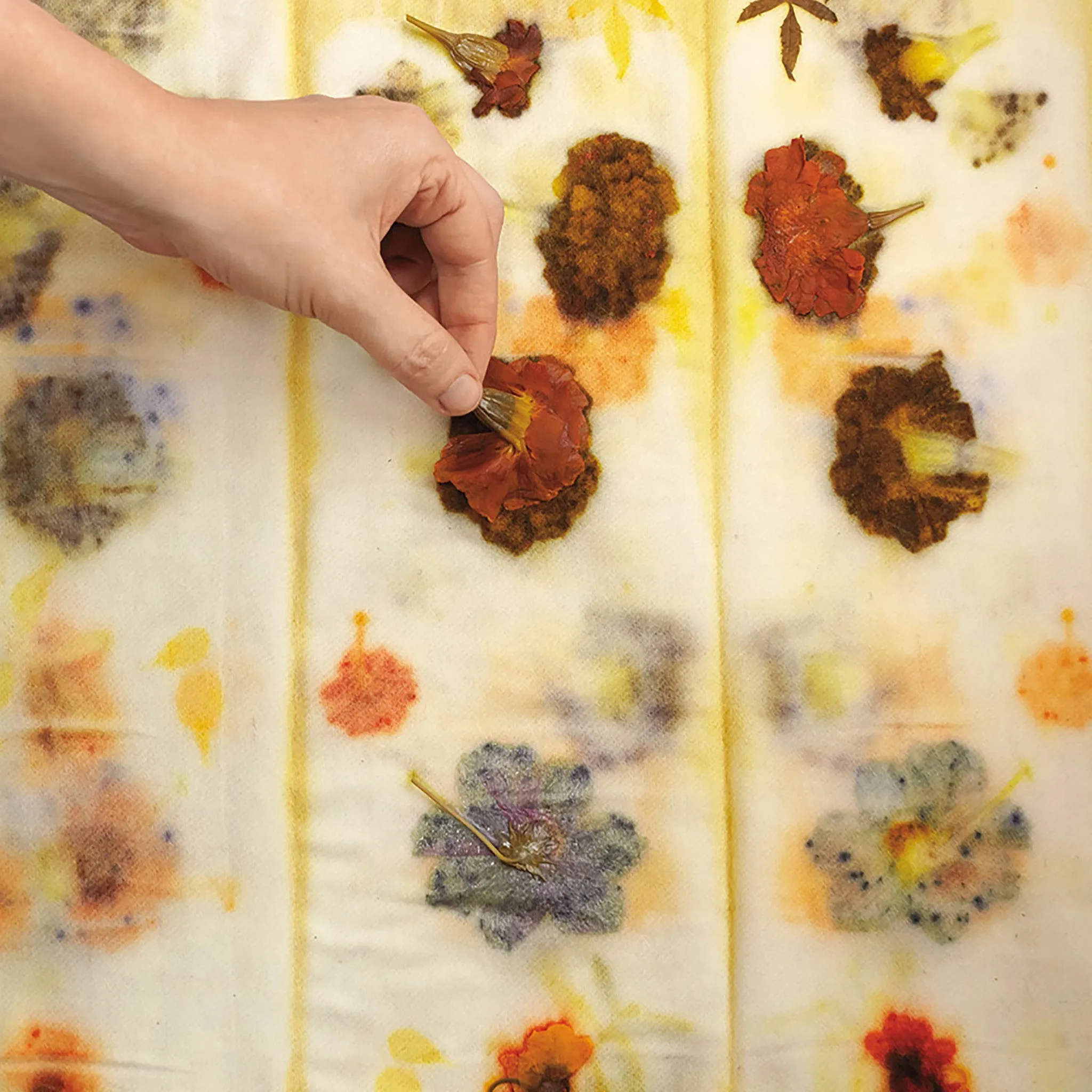 Mapping Color: Ecoprinting with Plants on Yarn - Saturday, August 10, 2024