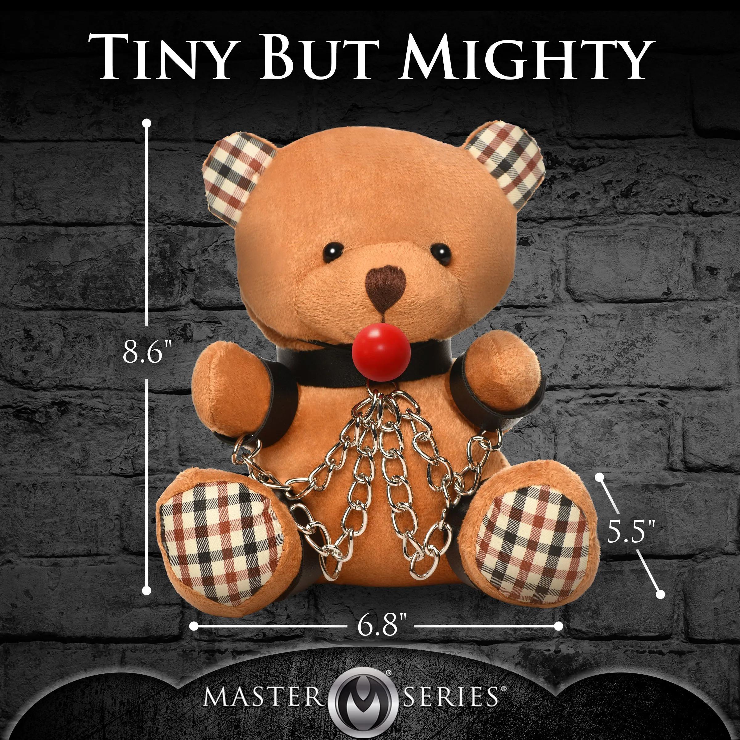 Master's Teddy Bears