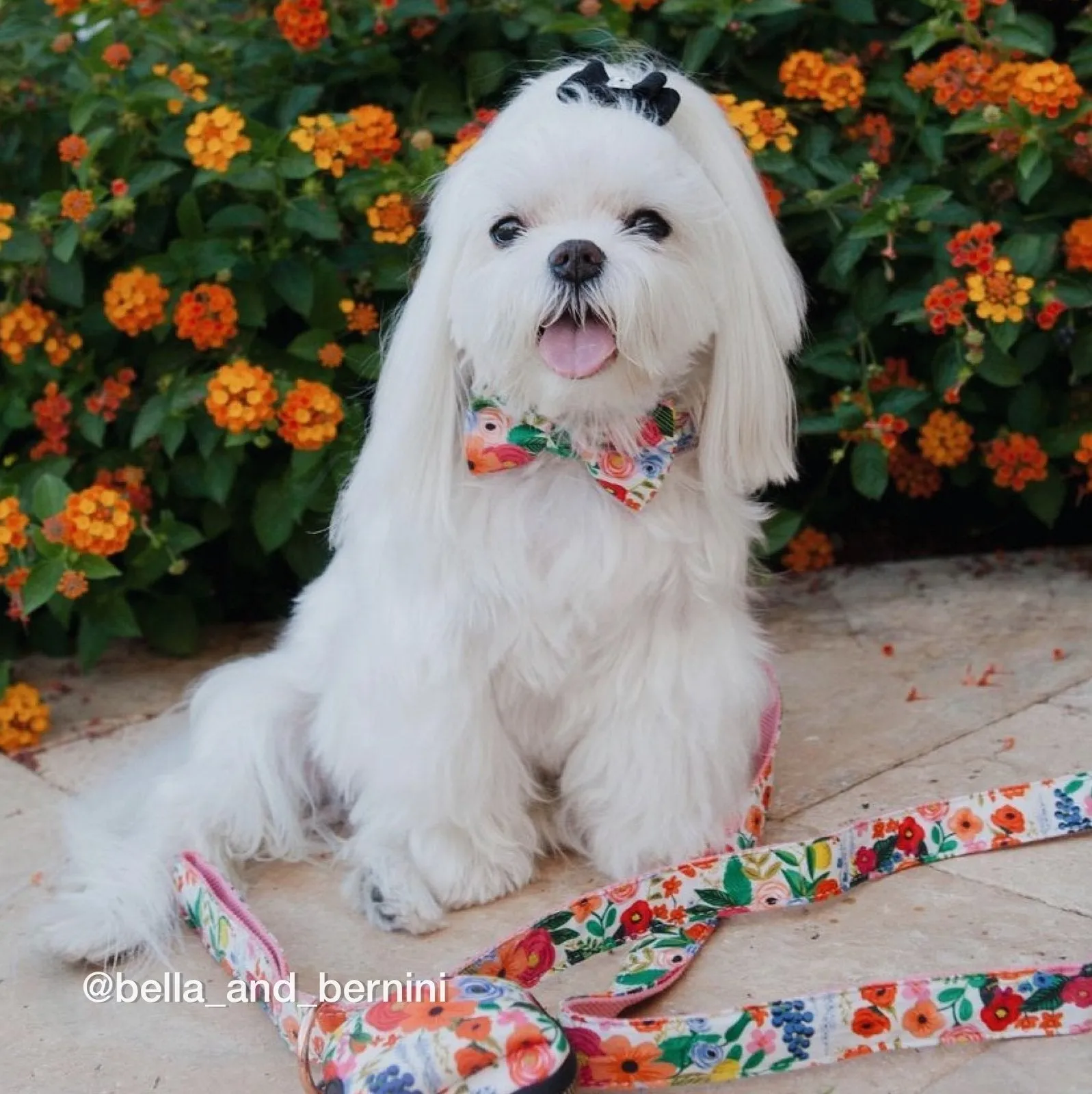 Morning Floral Bowtie Unbreakable Collar™ & Leash Set