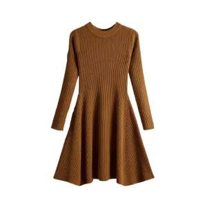 Pre Order:  Simple Chic A-Line Thick Sweater Dress