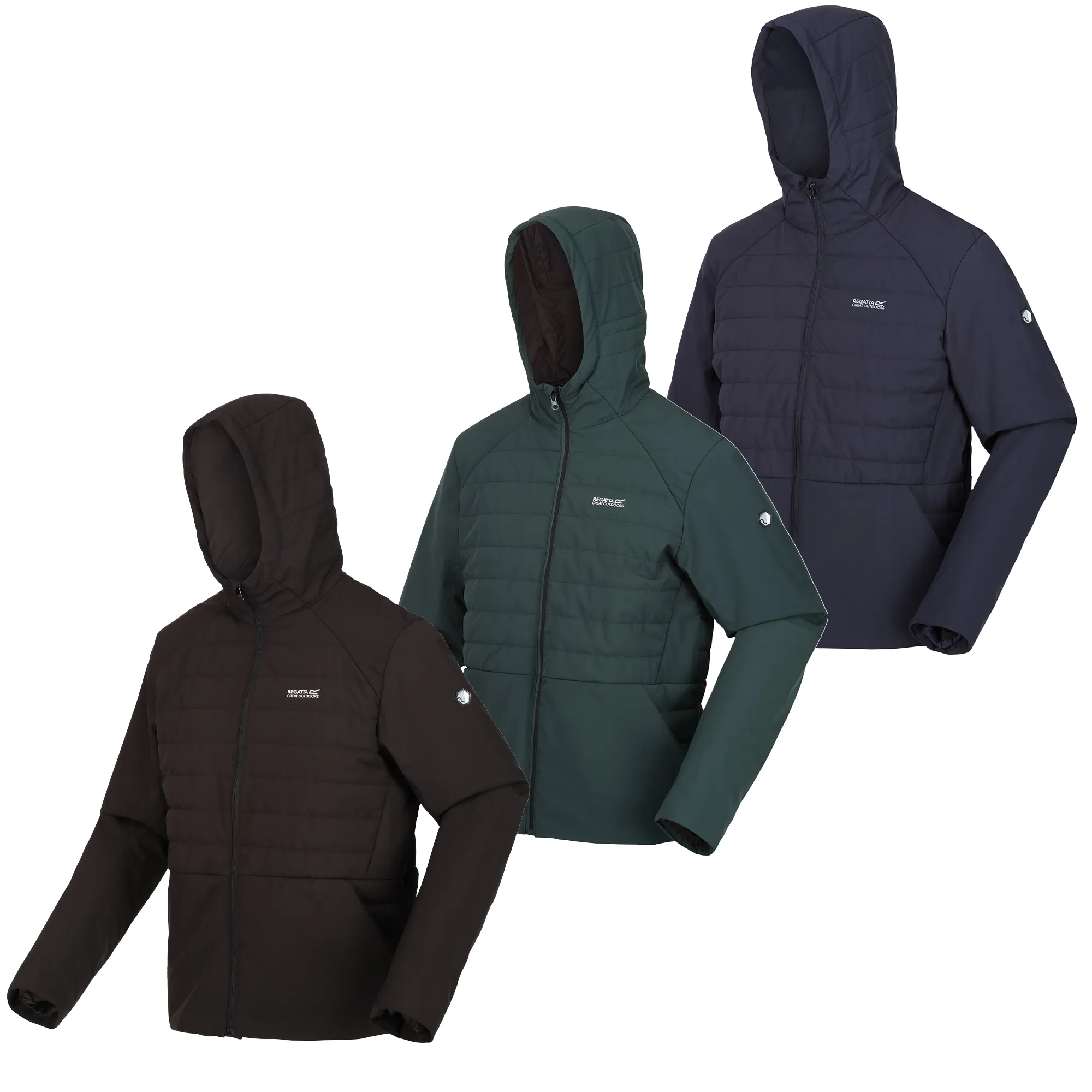 Regatta Mens Daxford Winter Hooded Insulated Jacket