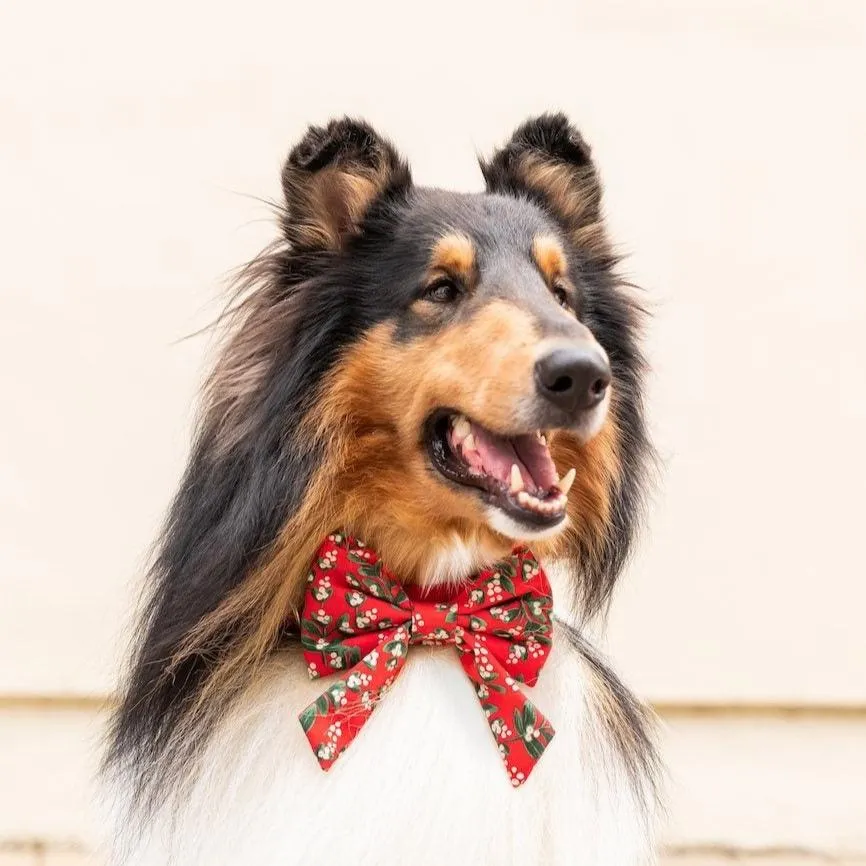 Rifle Paper Co. x TFD Mistletoe Lady Bow Collar