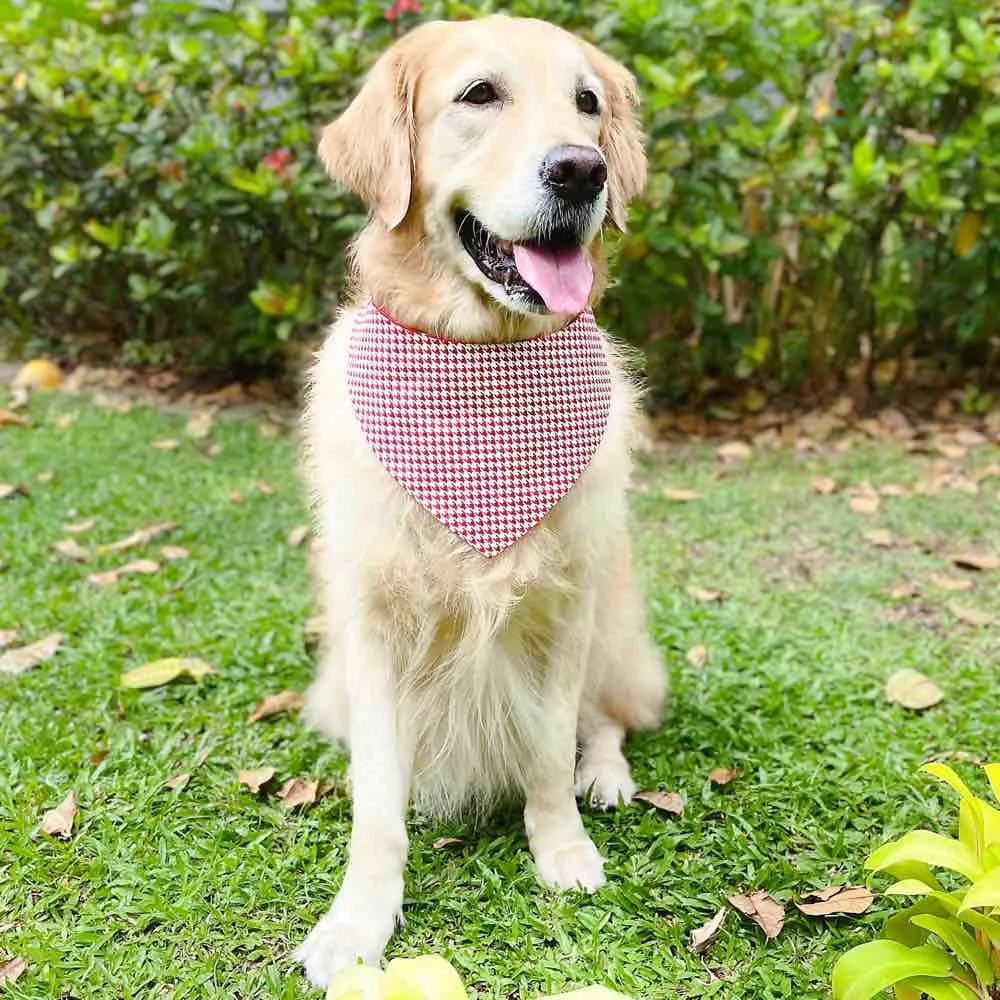 RuffCo Handcrafted Reversible Bandana For Cats & Dogs (Red Puppies)