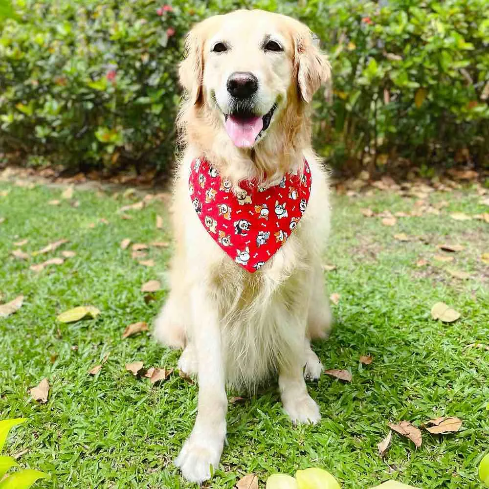 RuffCo Handcrafted Reversible Bandana For Cats & Dogs (Red Puppies)