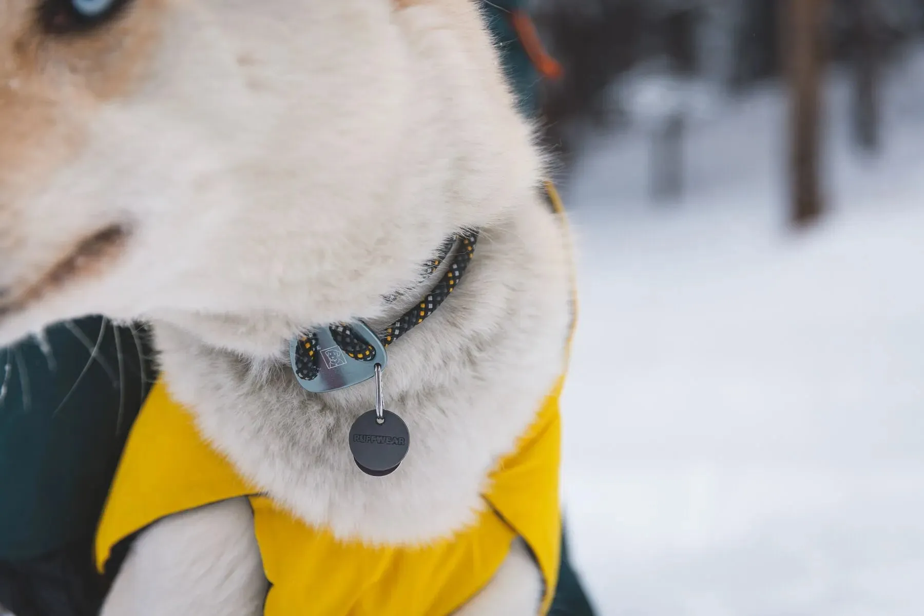 Ruffwear Knot-a-Collar™ Reflective Rope Dog Collar (Obsidian Black)