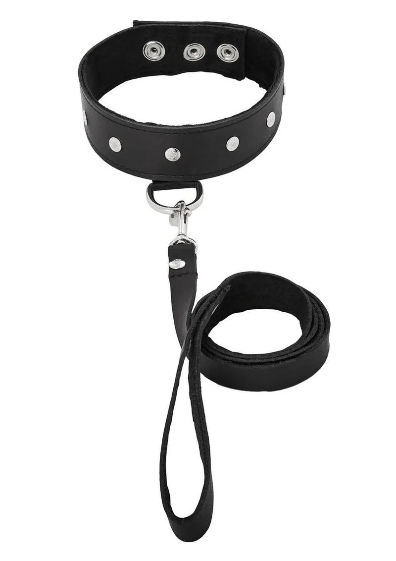 Sportsheets Leather Leash and Collar