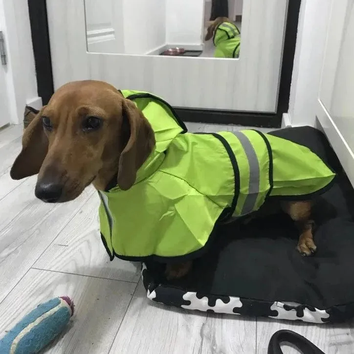 Sporty Dachshund Raincoat