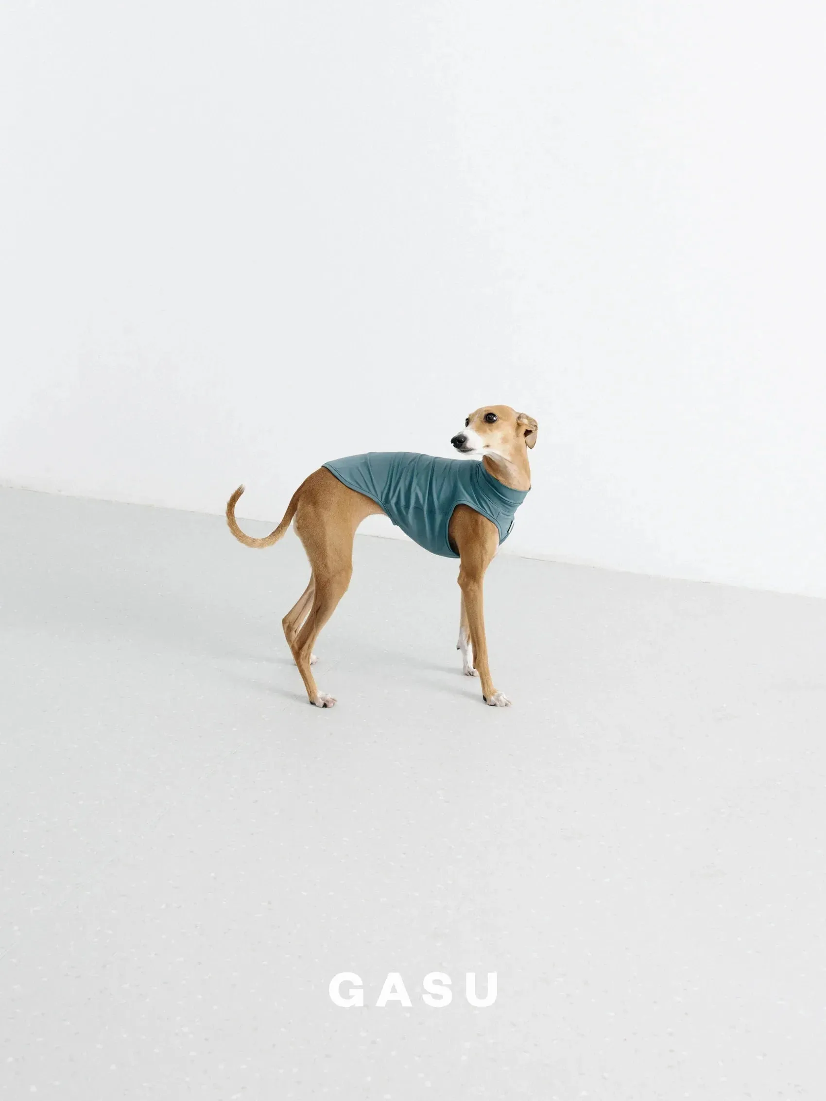 Sun Protective Dog Cooling Vest