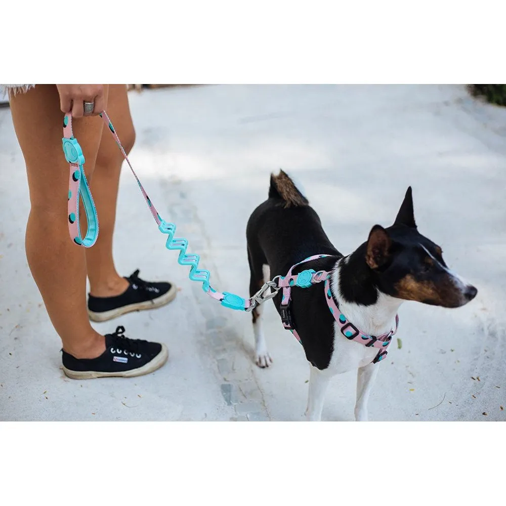 Zee.Dog Polka RUFF Shock Absorbent Dog Leash